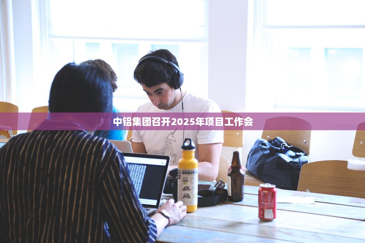 中铝集团召开2025年项目工作会 中铝集团召开2025年项目工作会