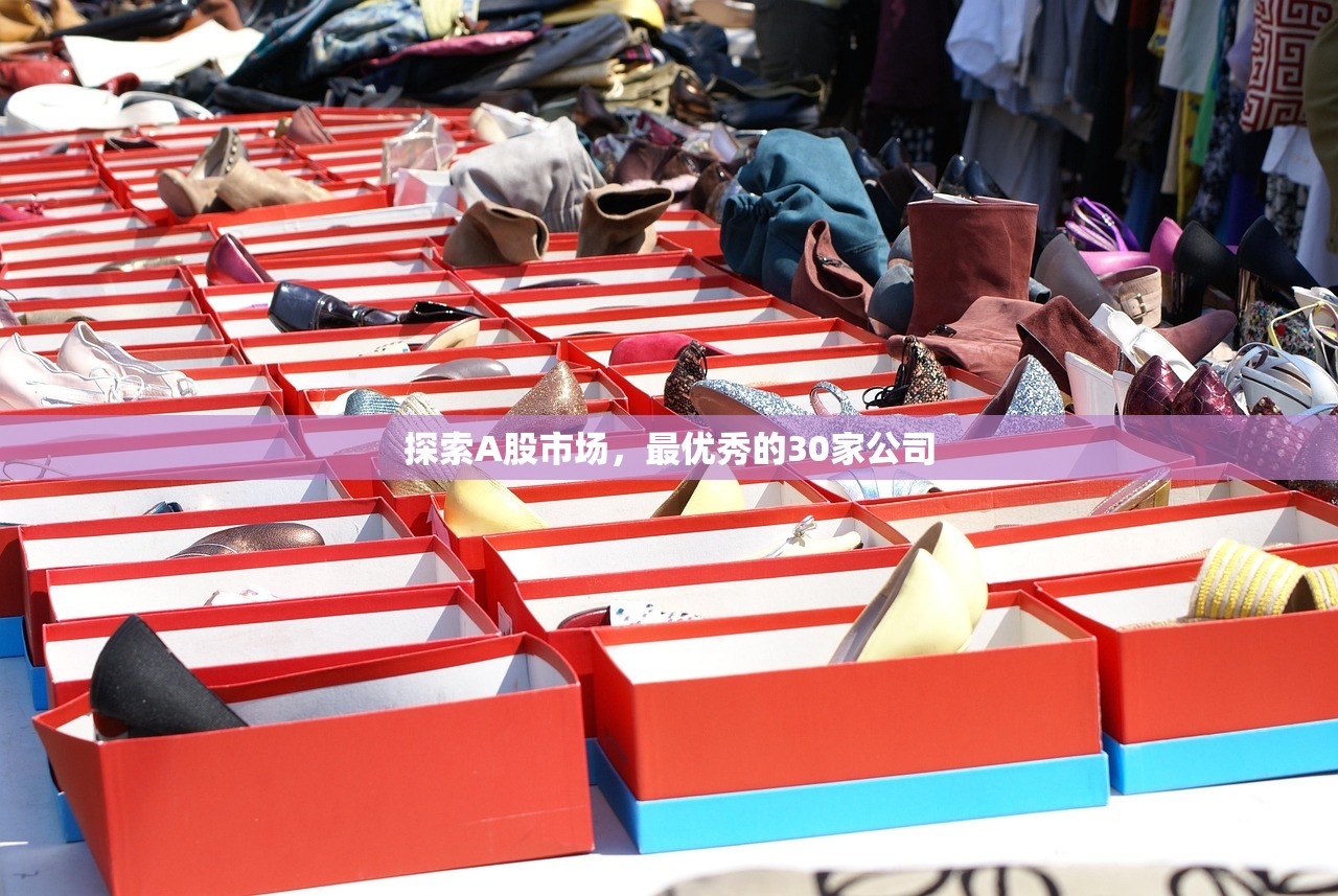 探索A股市场,最优秀的30家公司 探索A股市场,最优秀的30家公司