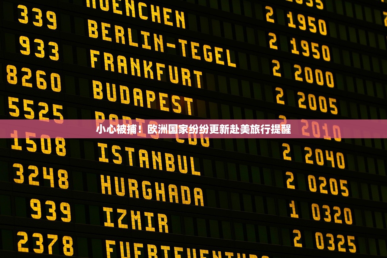 小心被捕！欧洲国家纷纷更新赴美旅行提醒