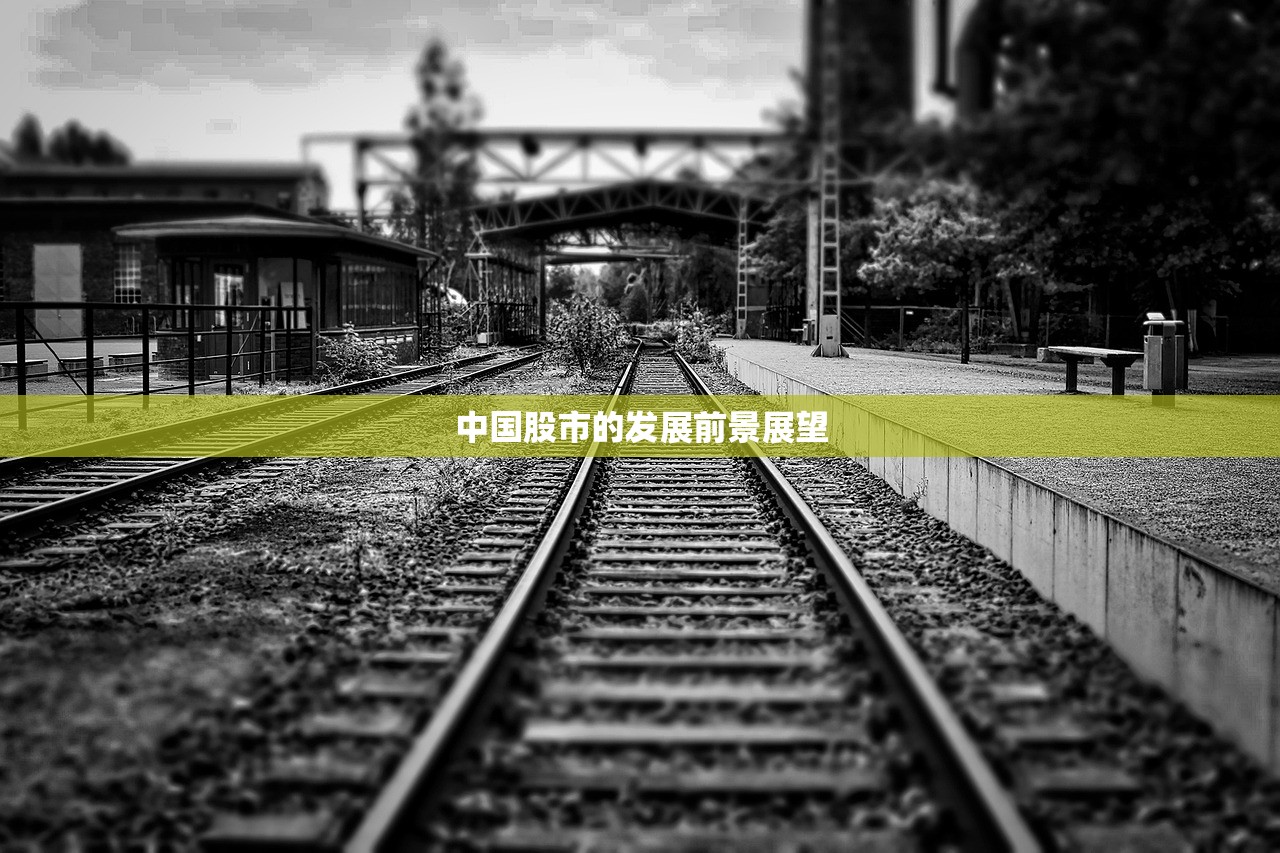 中国股市的发展前景展望