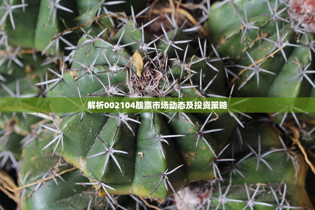 解析002104股票市场动态及投资策略 解析002104股票市场动态及投资策略