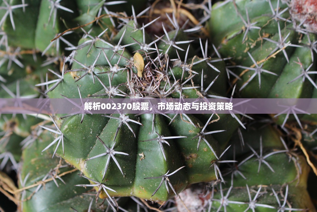 解析002370股票，市场动态与投资策略