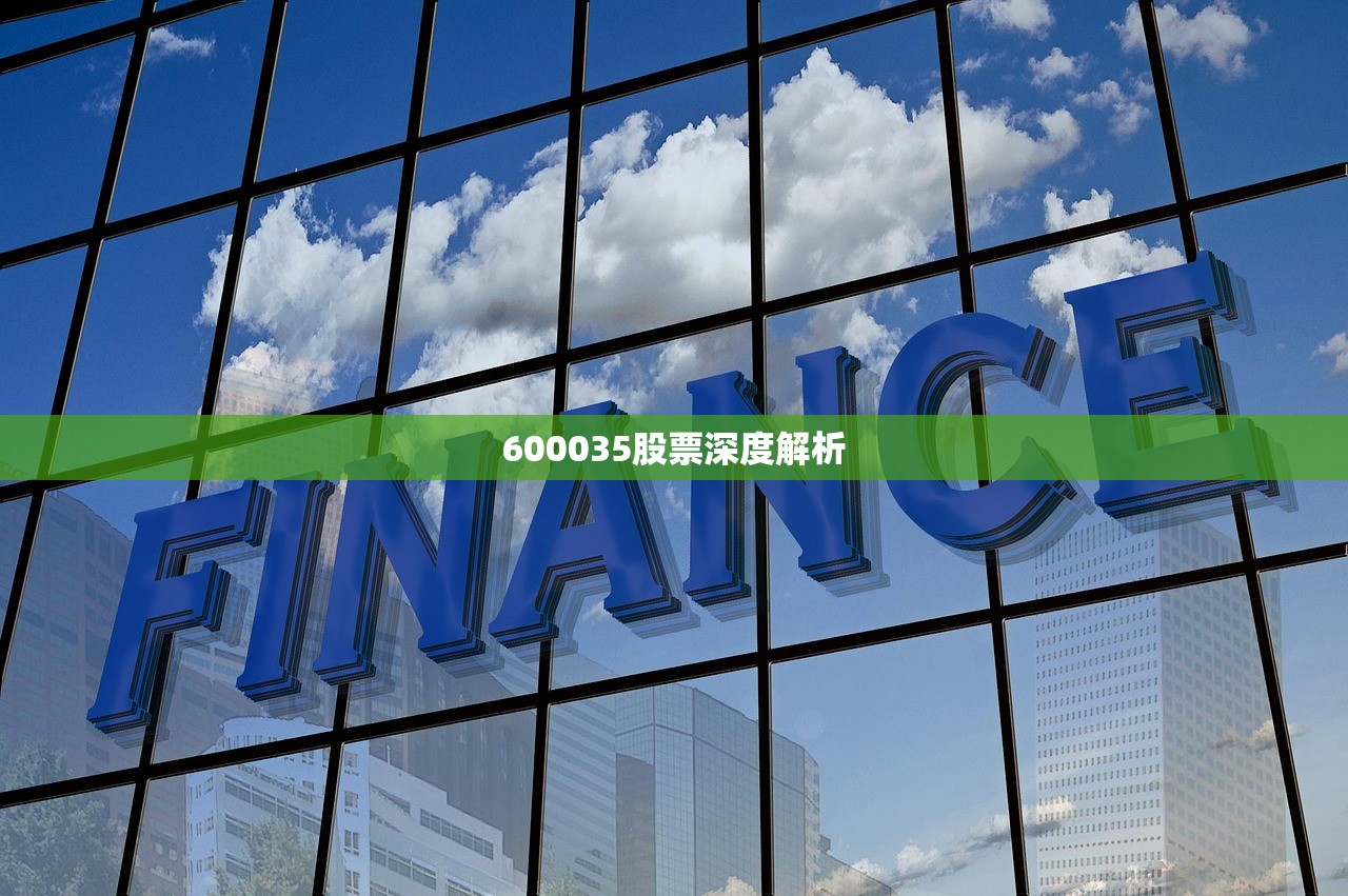 600035股票深度解析 600035股票深度解析