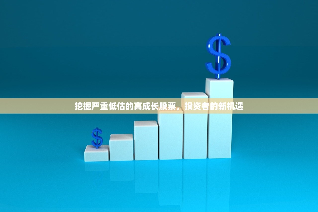 挖掘严重低估的高成长股票，投资者的新机遇