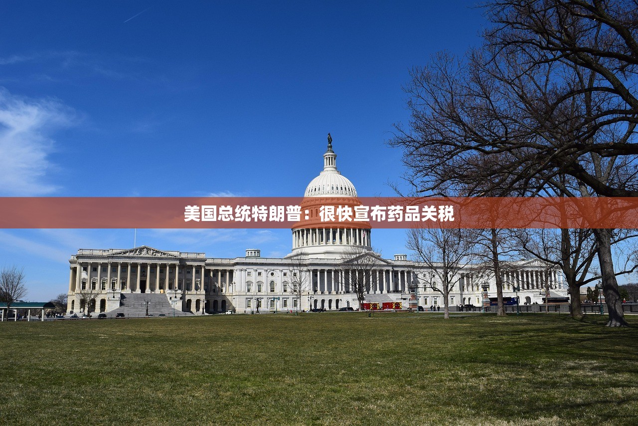 美国总统特朗普：很快宣布药品关税