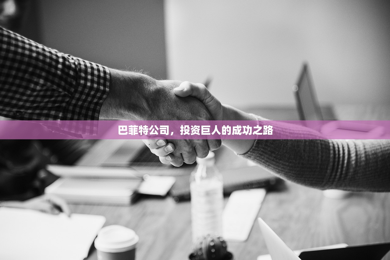 巴菲特公司，投资巨人的成功之路