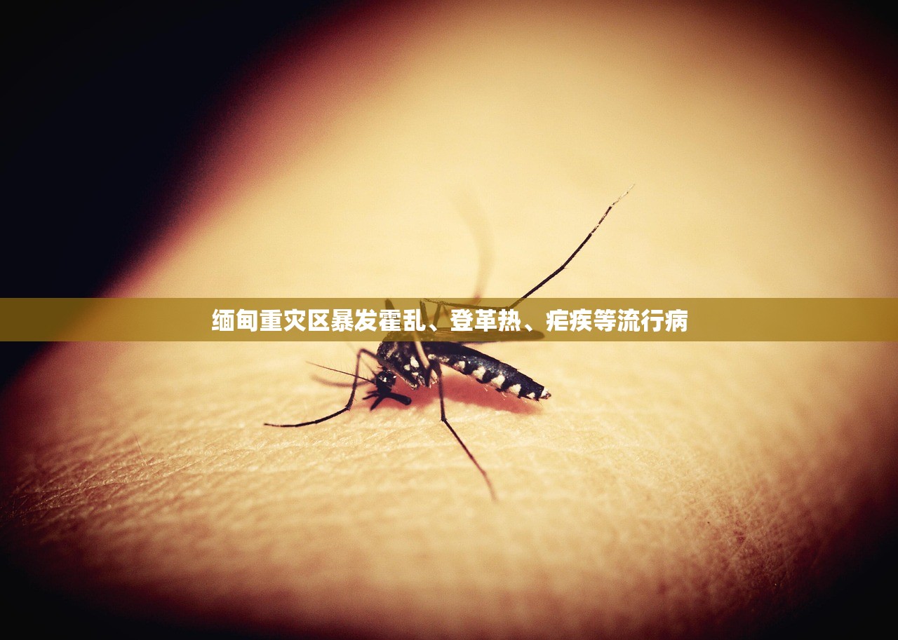 缅甸重灾区暴发霍乱、登革热、疟疾等流行病