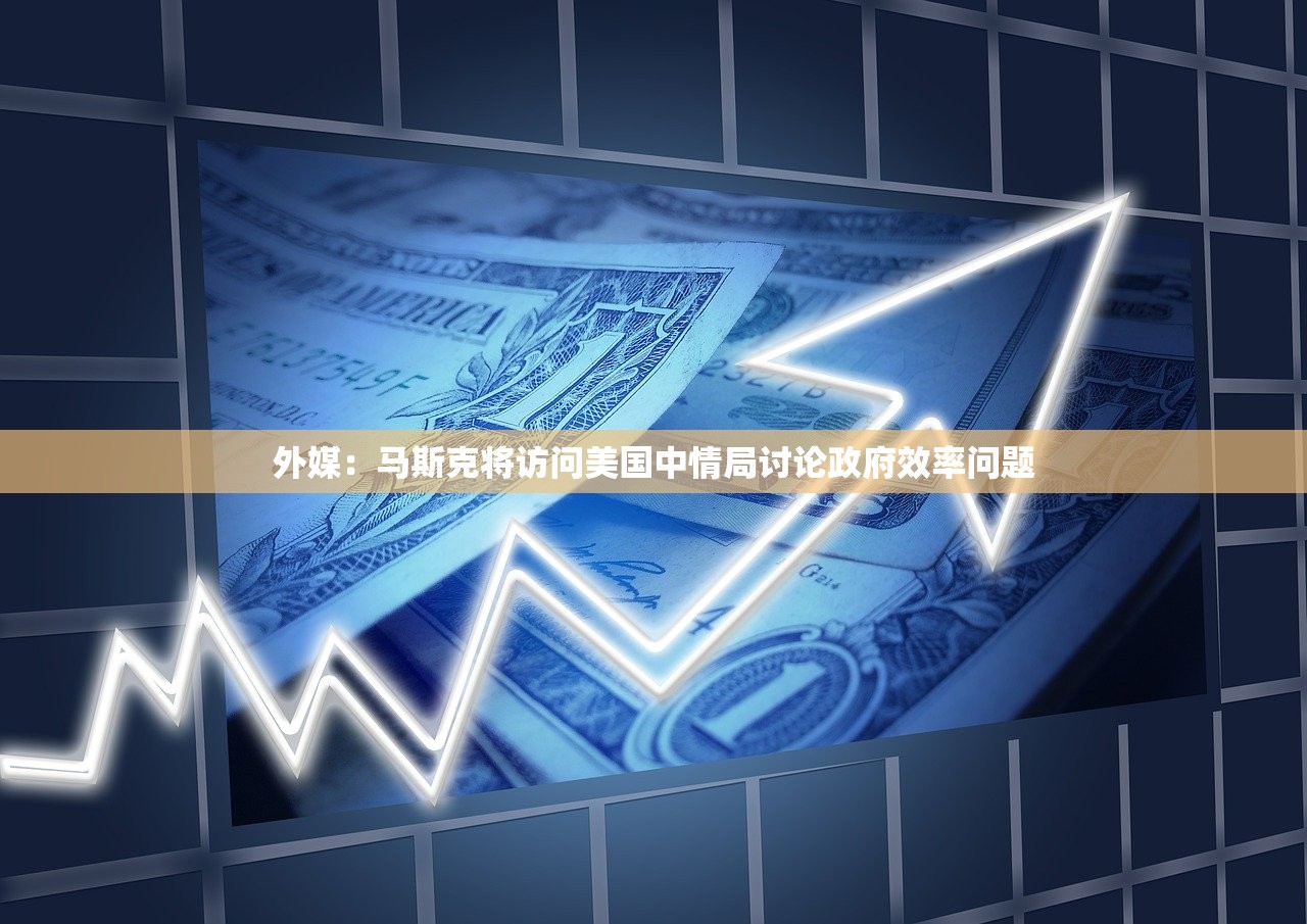 外媒：马斯克将访问美国中情局讨论政府效率问题