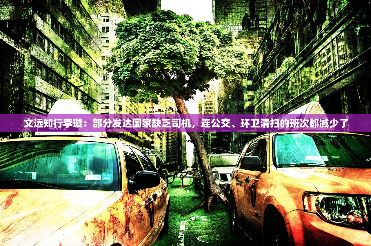 文远知行李璇：部分发达国家缺乏司机，连公交、环卫清扫的班次都减少了