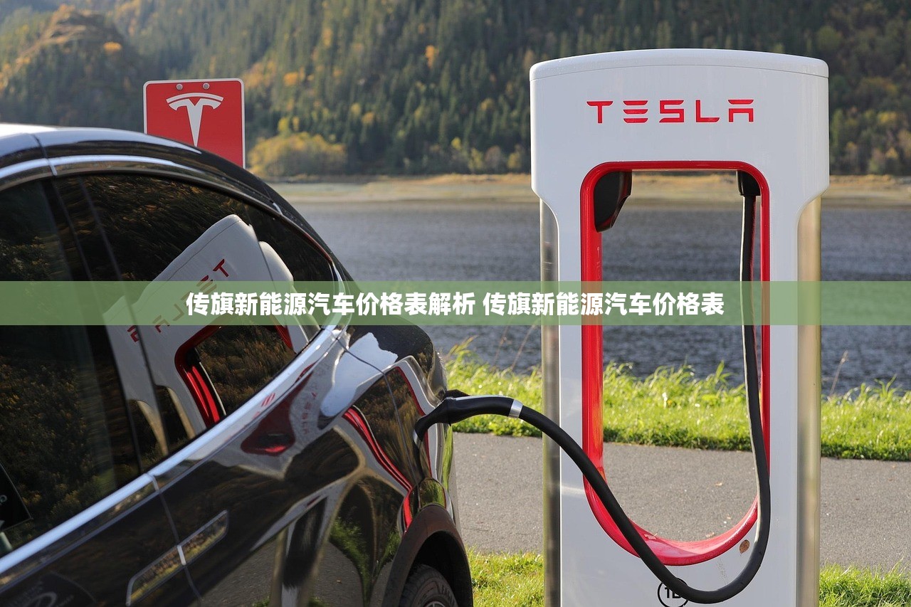 传旗新能源汽车价格表解析 传旗新能源汽车价格表