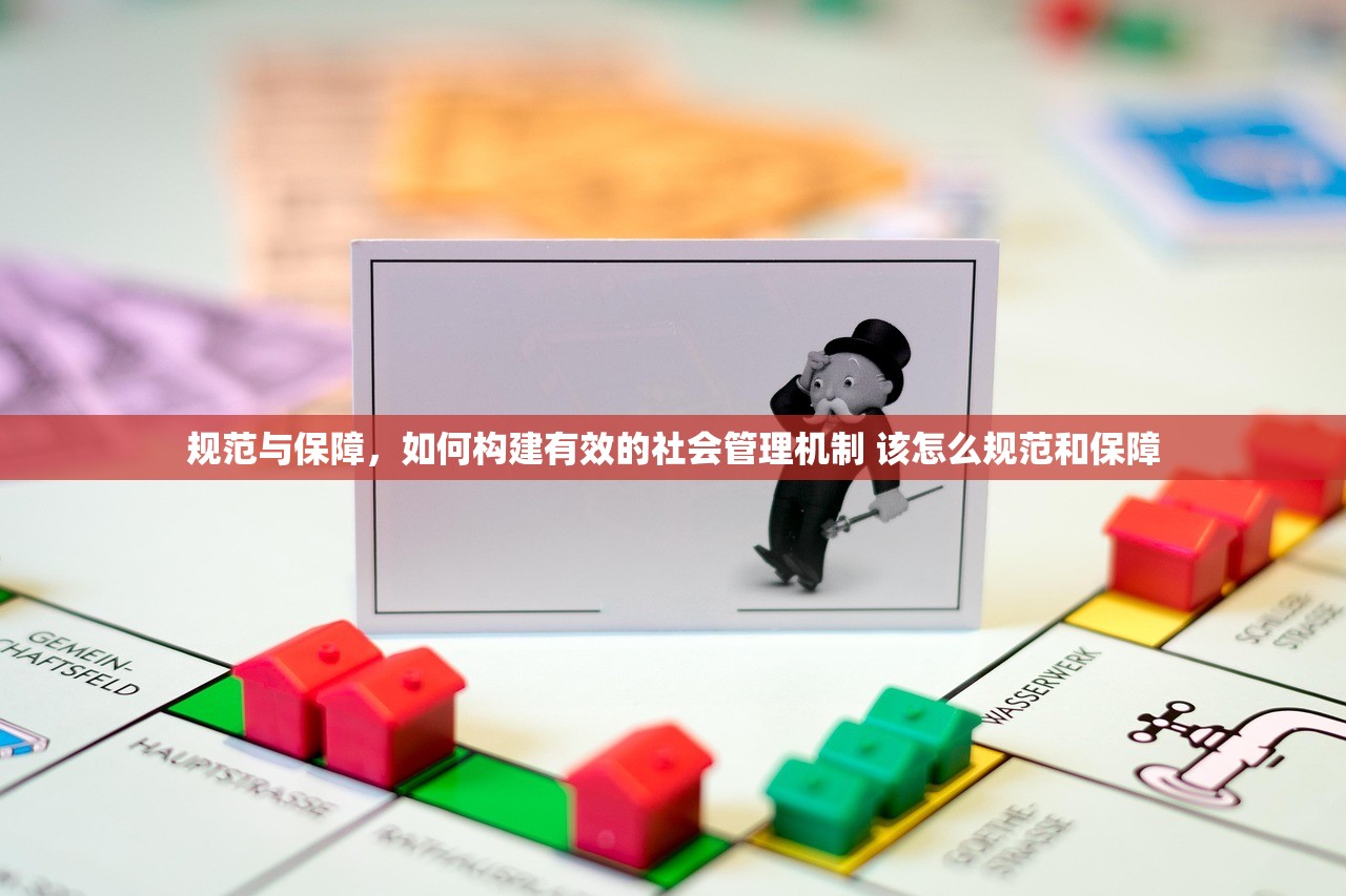 规范与保障，如何构建有效的社会管理机制 该怎么规范和保障