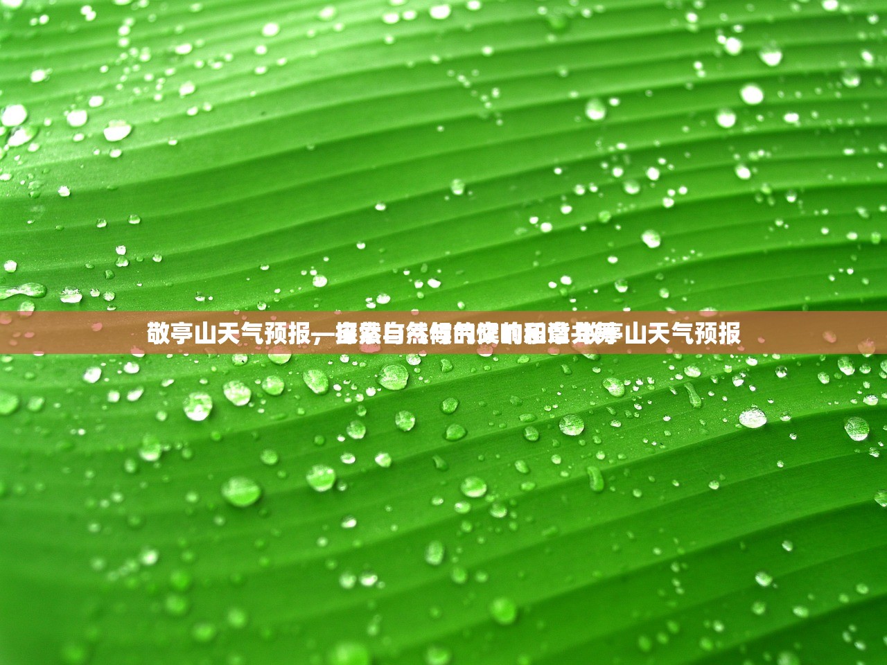 敬亭山天气预报，探索自然与气候的和谐共舞
敬亭山天气预报—自然与气候的交响乐章 敬亭山天气预报
