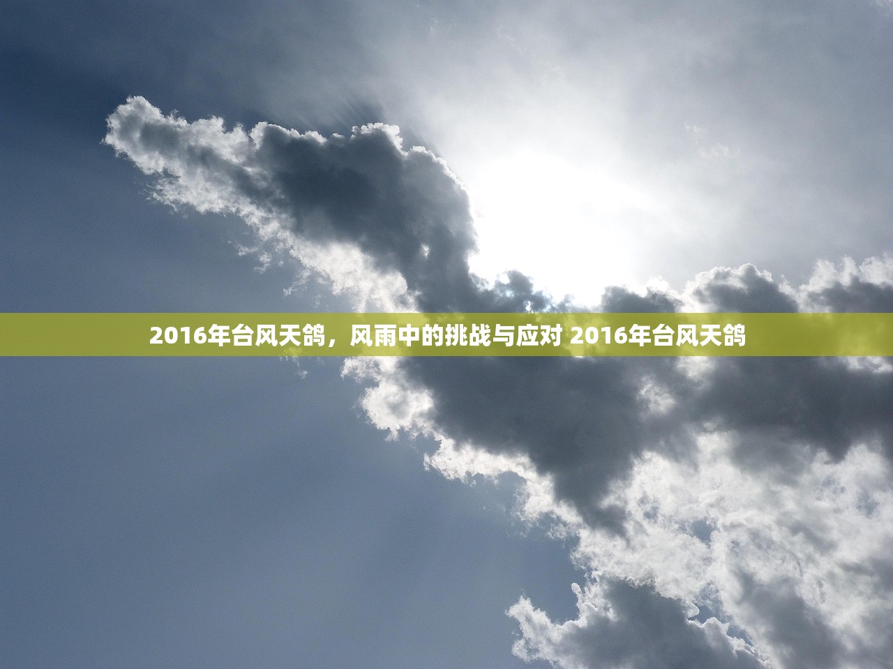 2016年台风天鸽，风雨中的挑战与应对 2016年台风天鸽