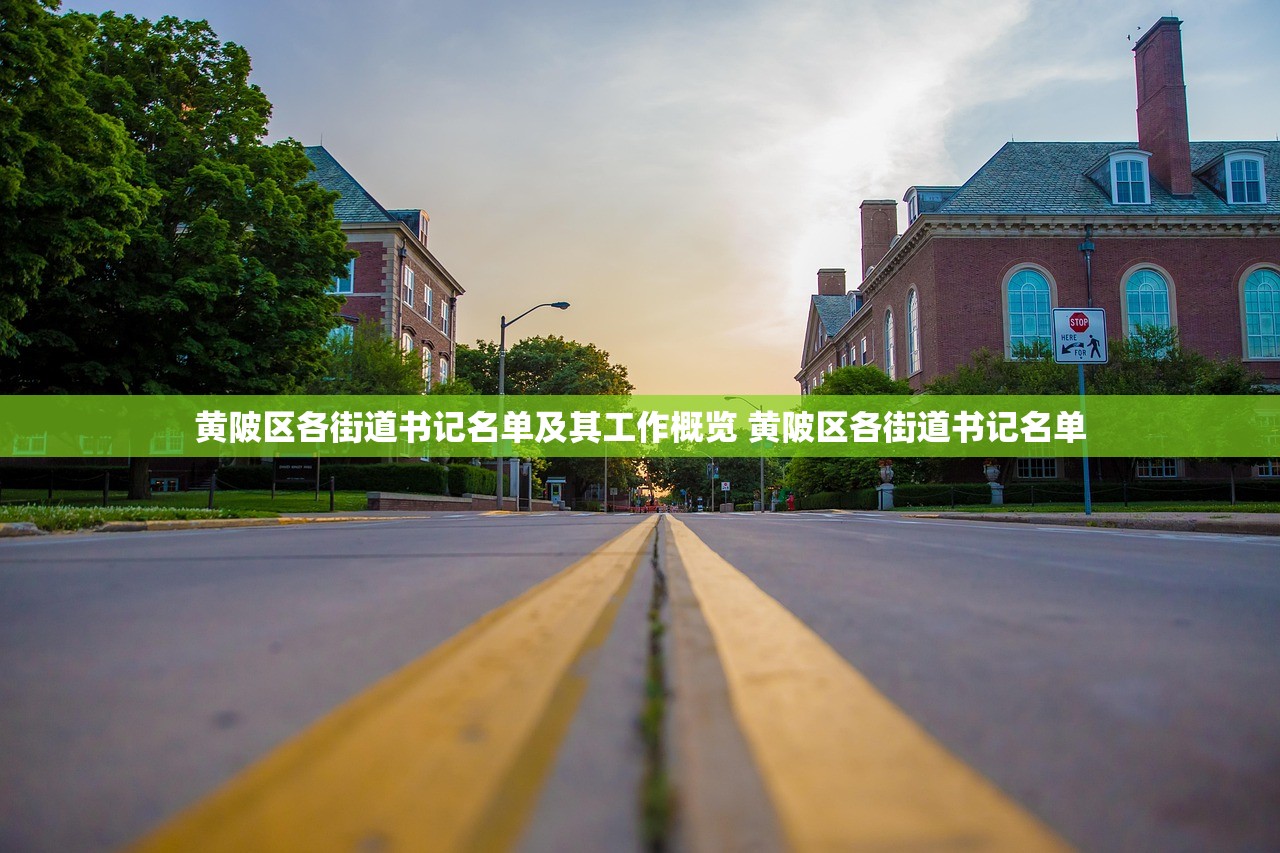 黄陂区各街道书记名单及其工作概览 黄陂区各街道书记名单