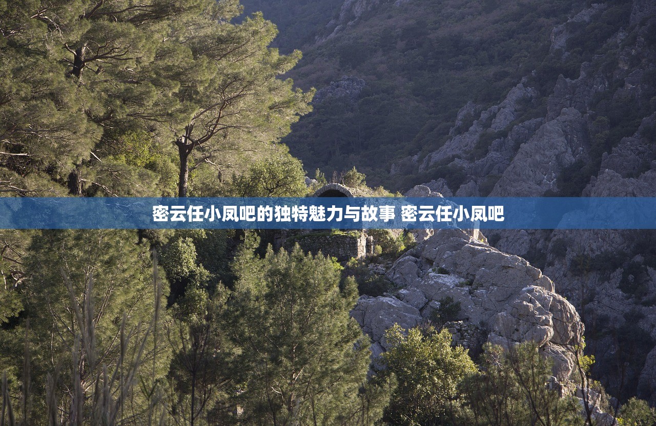 密云任小凤吧的独特魅力与故事 密云任小凤吧