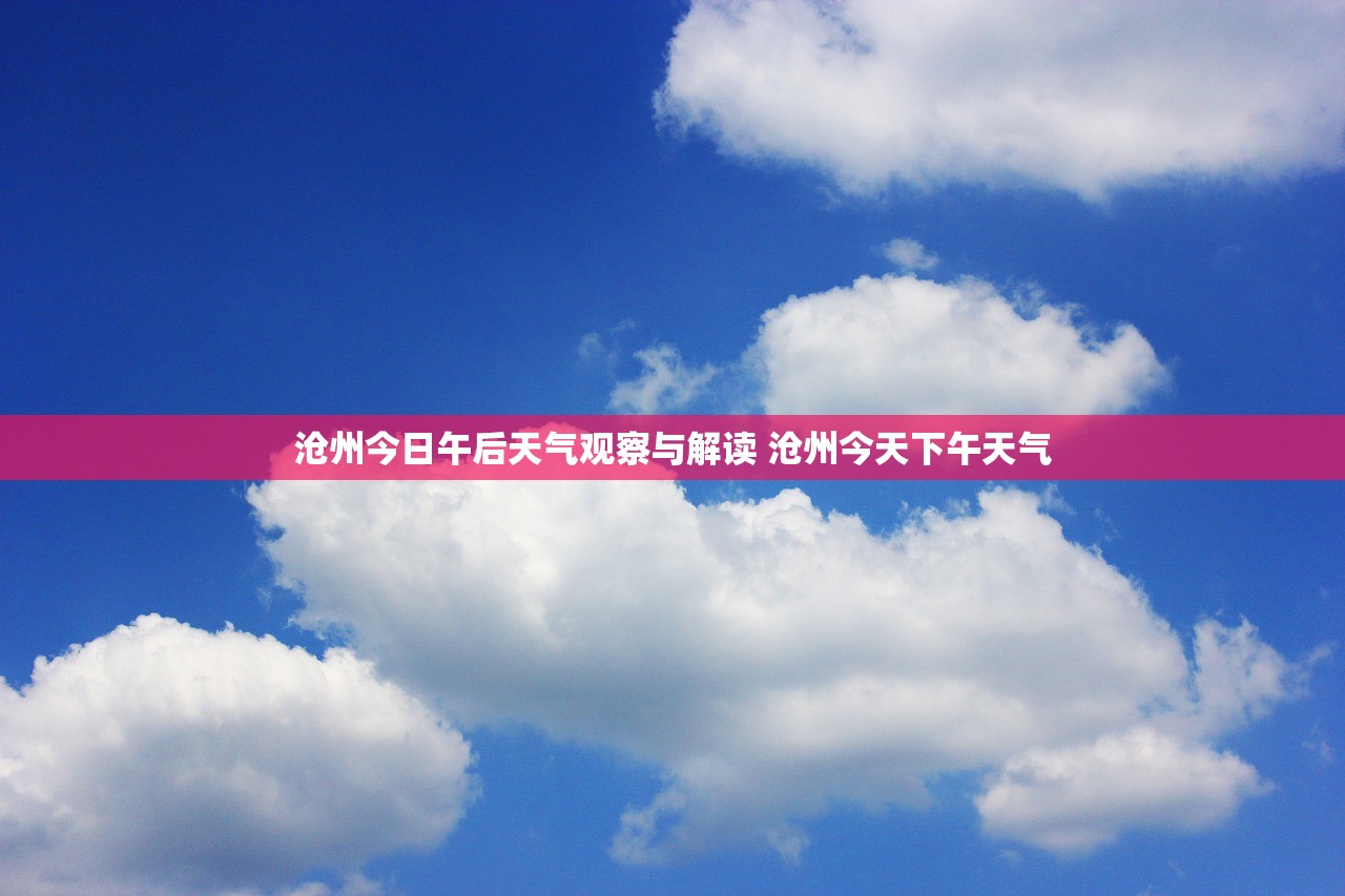 沧州今日午后天气观察与解读 沧州今天下午天气