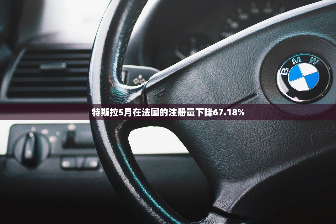 特斯拉5月在法国的注册量下降67.18%