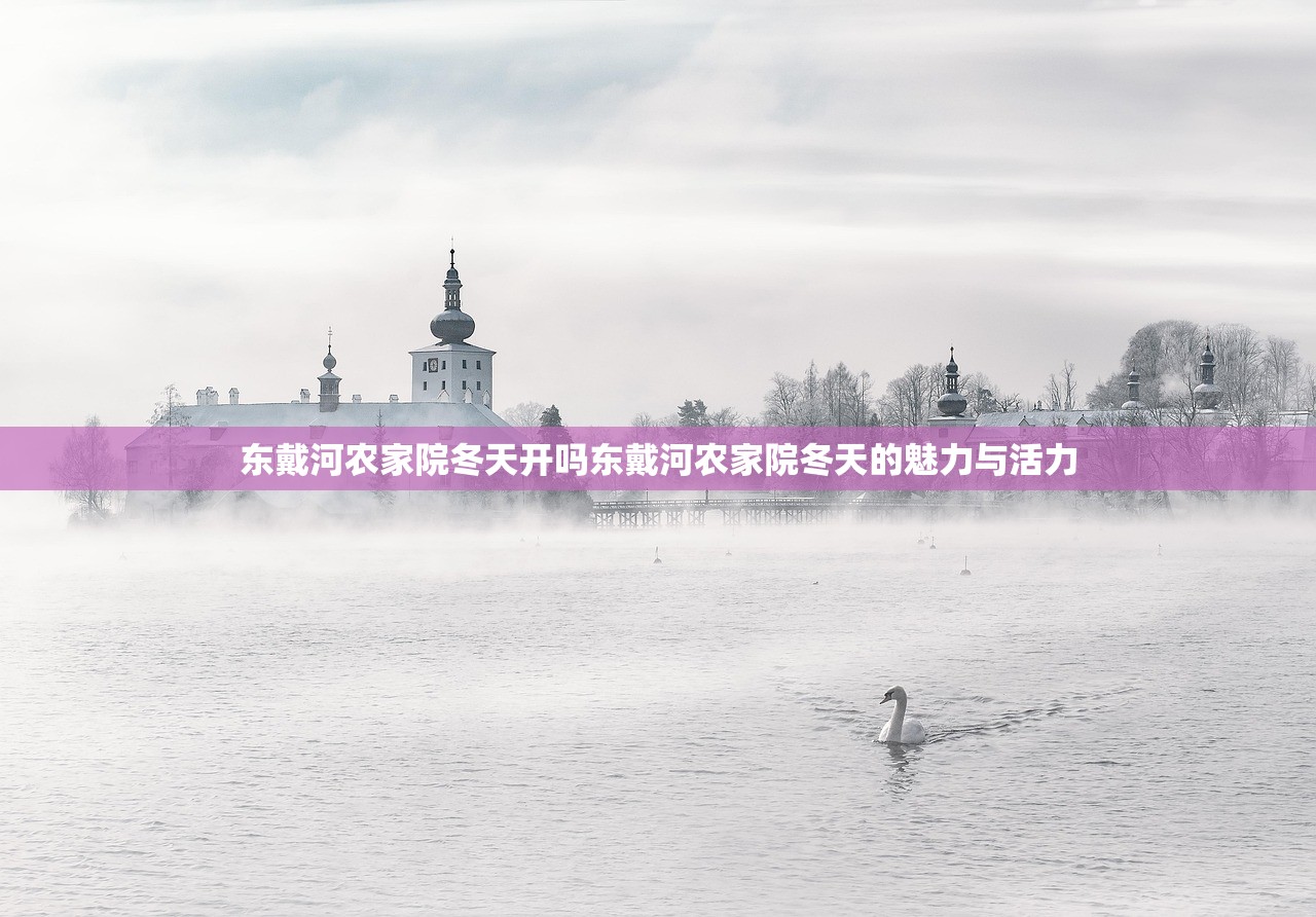 东戴河农家院冬天开吗东戴河农家院冬天的魅力与活力
