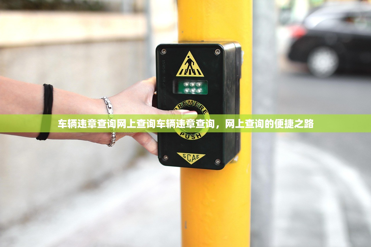 车辆违章查询网上查询车辆违章查询，网上查询的便捷之路