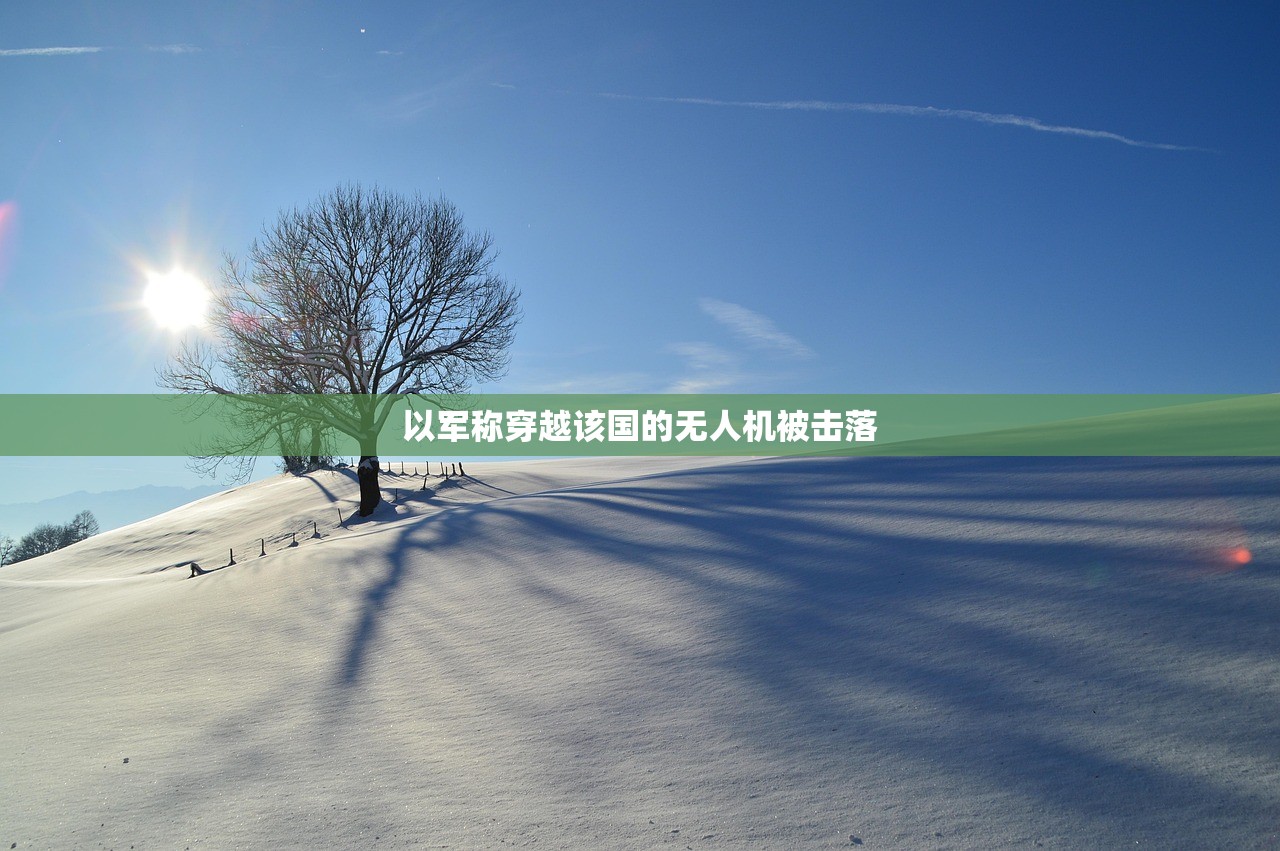 以军称穿越该国的无人机被击落