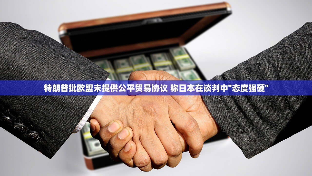 特朗普批欧盟未提供公平贸易协议 称日本在谈判中